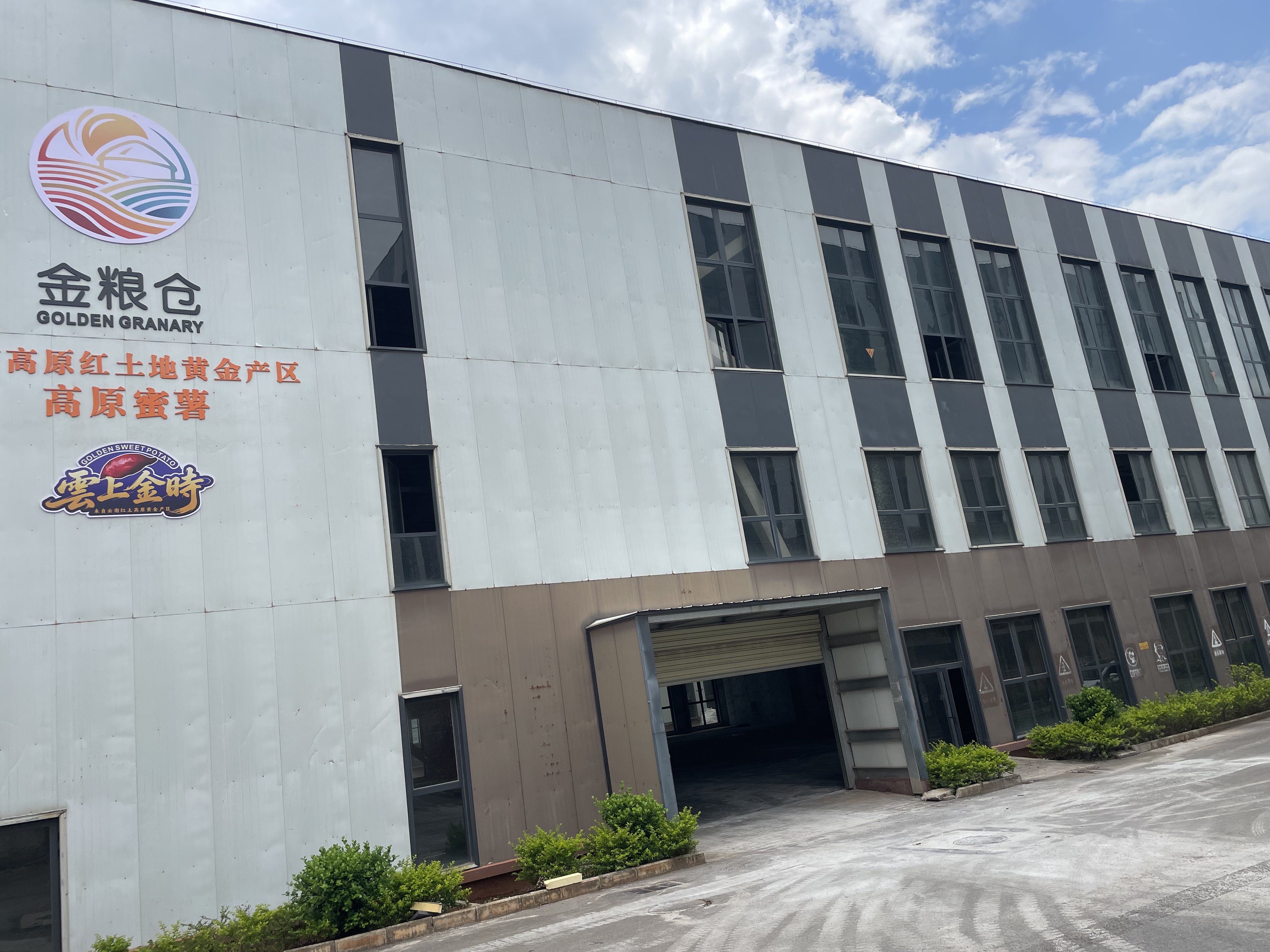 云南东川智能甘薯糖化愈合库项目